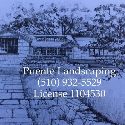 Avatar for Puente Landscaping