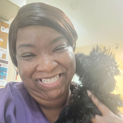 Avatar for Treat Em' Purrfect Pet Care