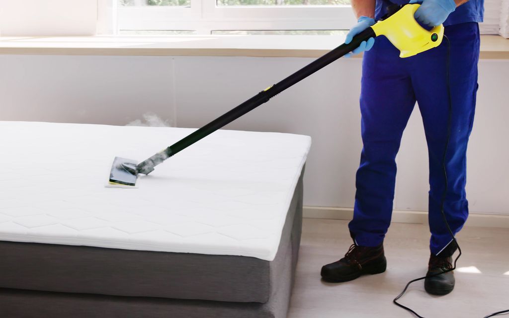 How much does bed bug heat treatment cost?