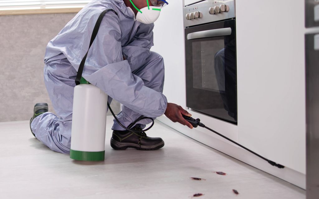 How much does a cockroach exterminator cost?