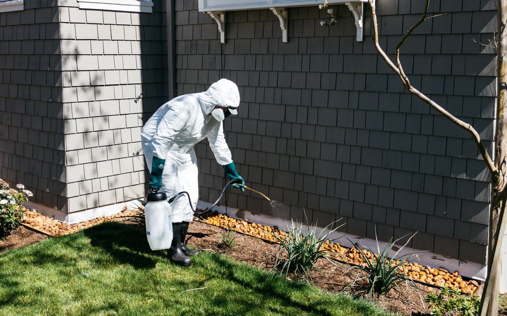 How much does an exterminator cost?