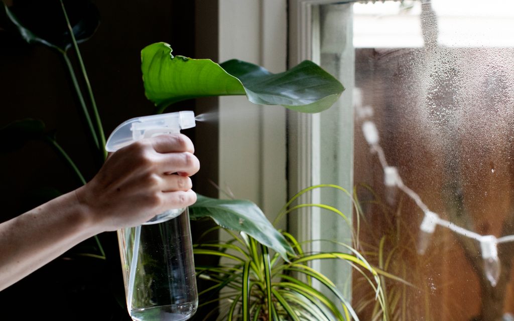 How much do house cleaners charge?