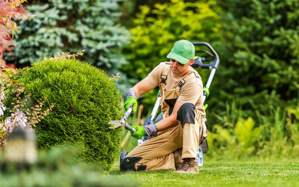 How much does landscaping cost?