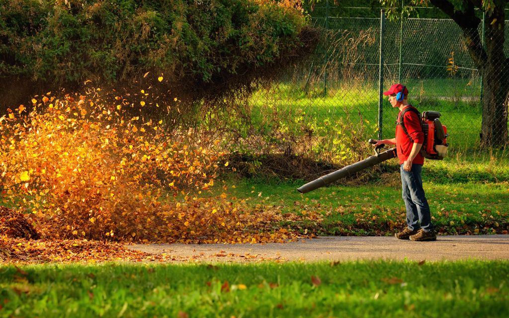 How much does leaf removal cost?