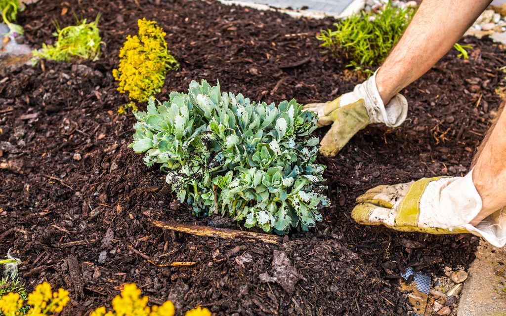 How much is mulching?