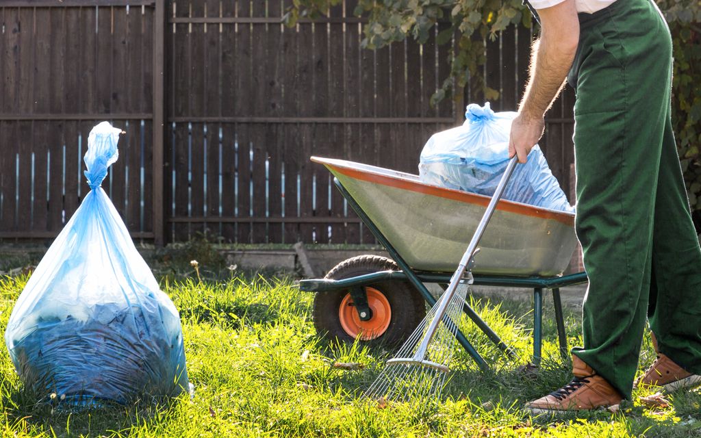 How much do clean out services cost?