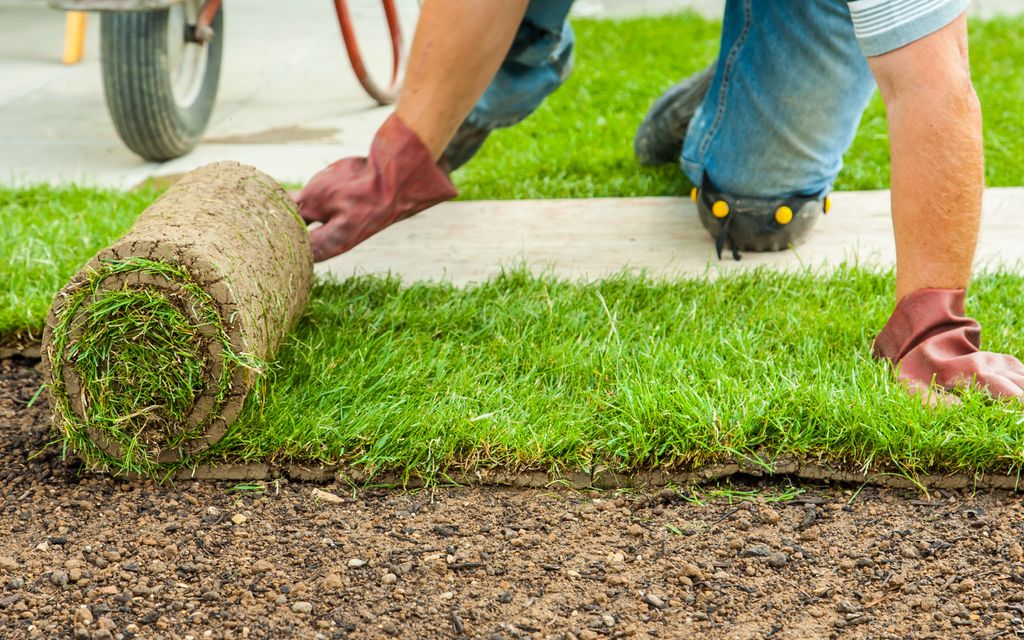 How much does sod installation cost?