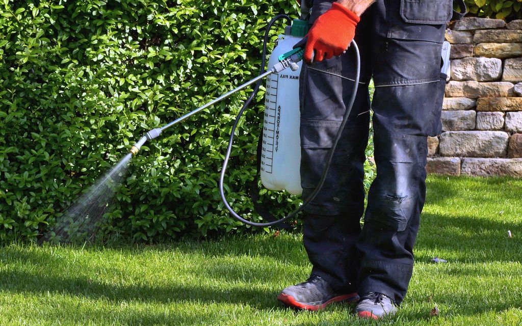 How much does lawn weed control cost?