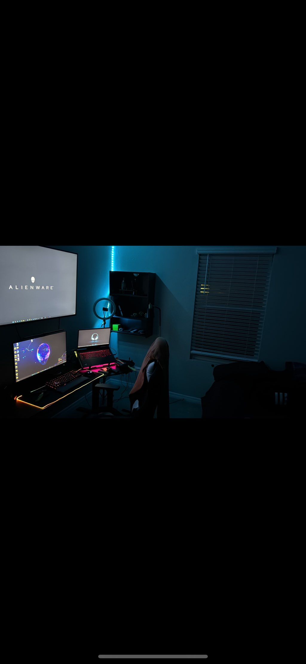 Projects and media