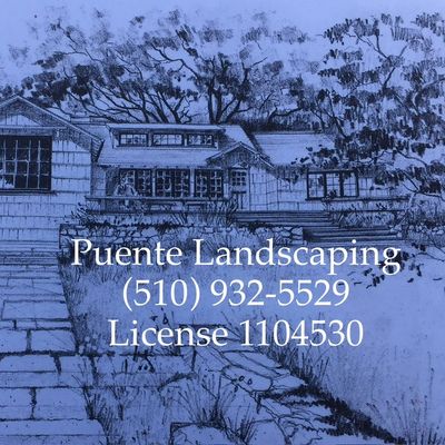 Avatar for Puente Landscaping