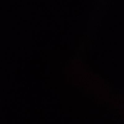 Avatar for divine rinse