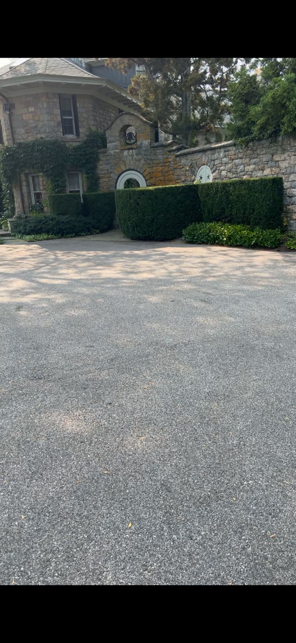 Hedge trimming