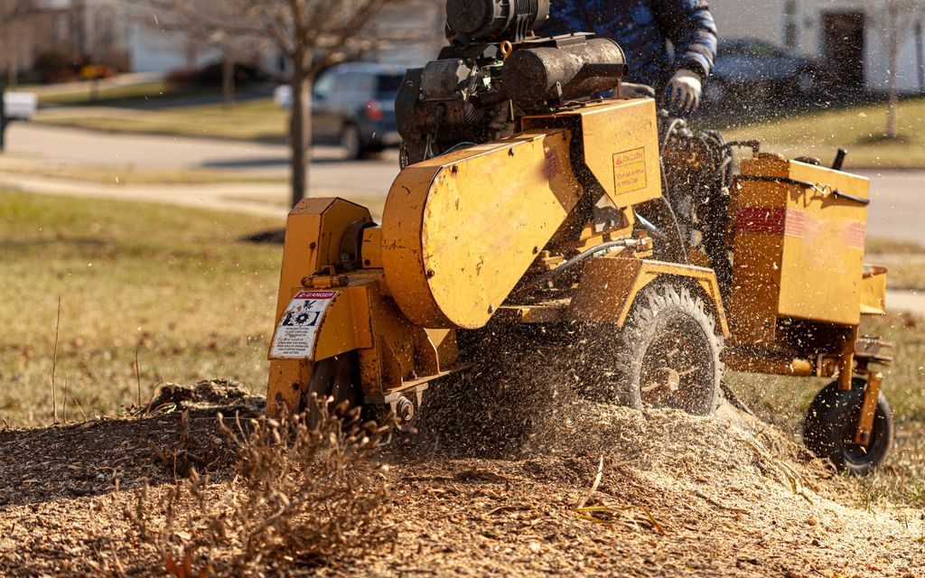 How much does it cost to remove a tree stump?