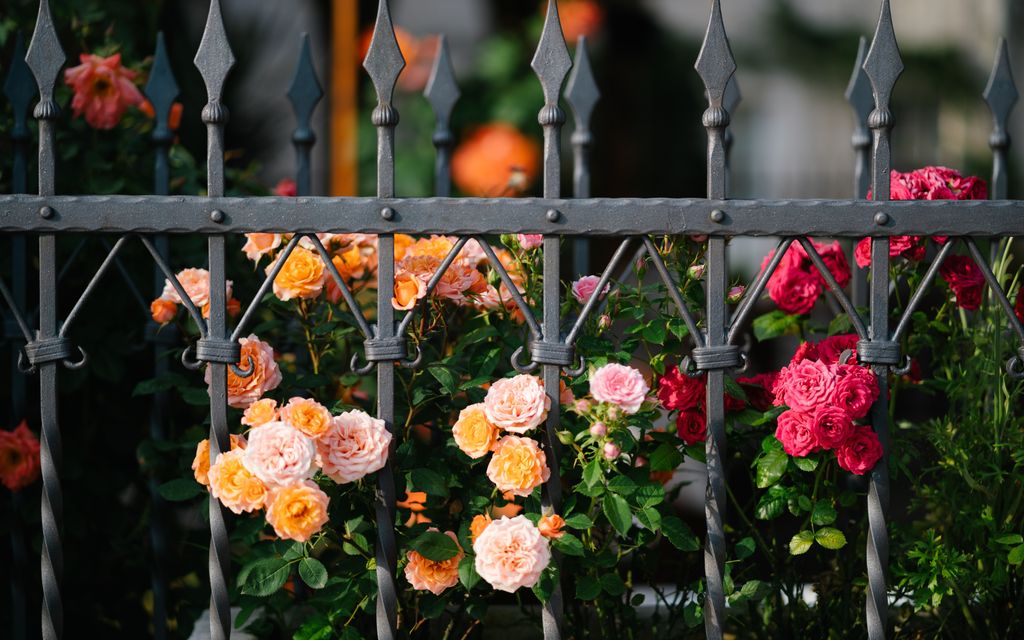 How much does it cost to install a wrought iron fence?