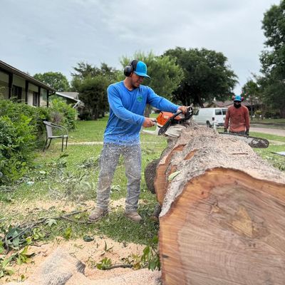 Avatar for López Tree Service