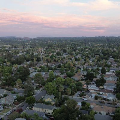 Avatar for InFlight Aerial Photography