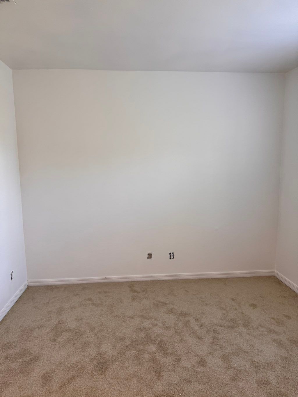 Painted Walls