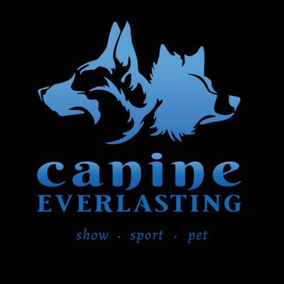Avatar for Canine Everlasting LLC