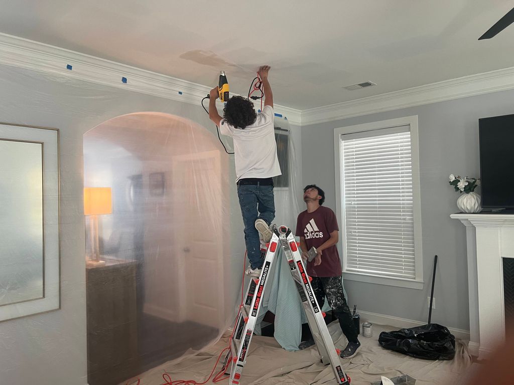 Projects and media