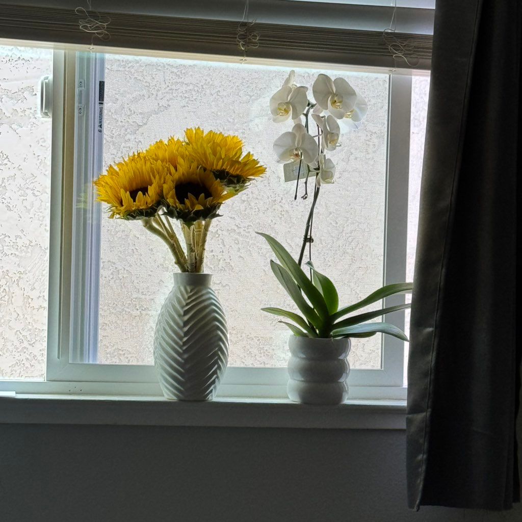 cleaning services