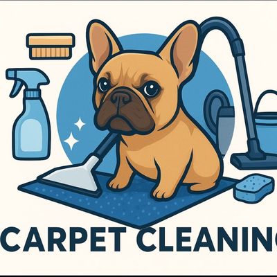 Avatar for HND Carpet Cleaning & Car Details