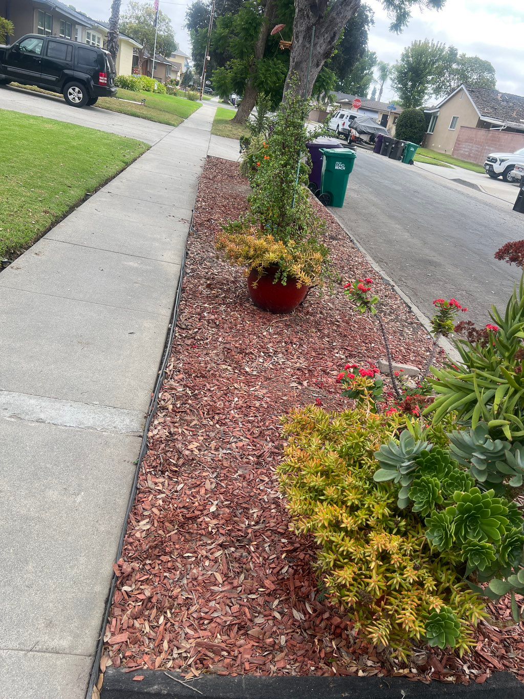 Customer photos