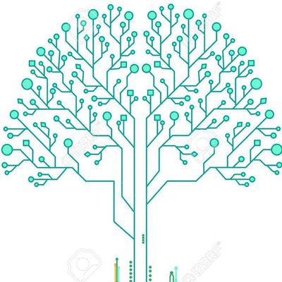 Avatar for Silicon Valley arbor care