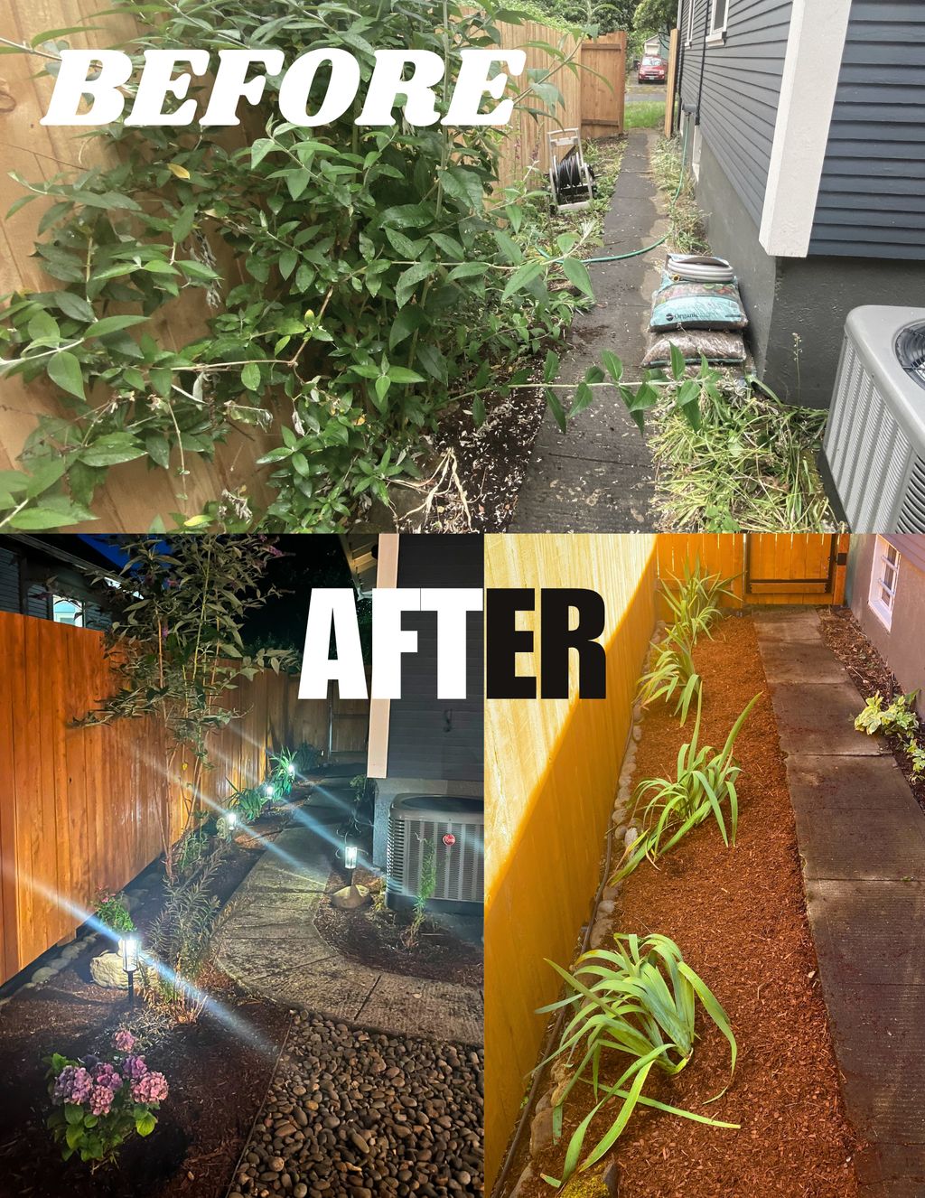 Projects and media