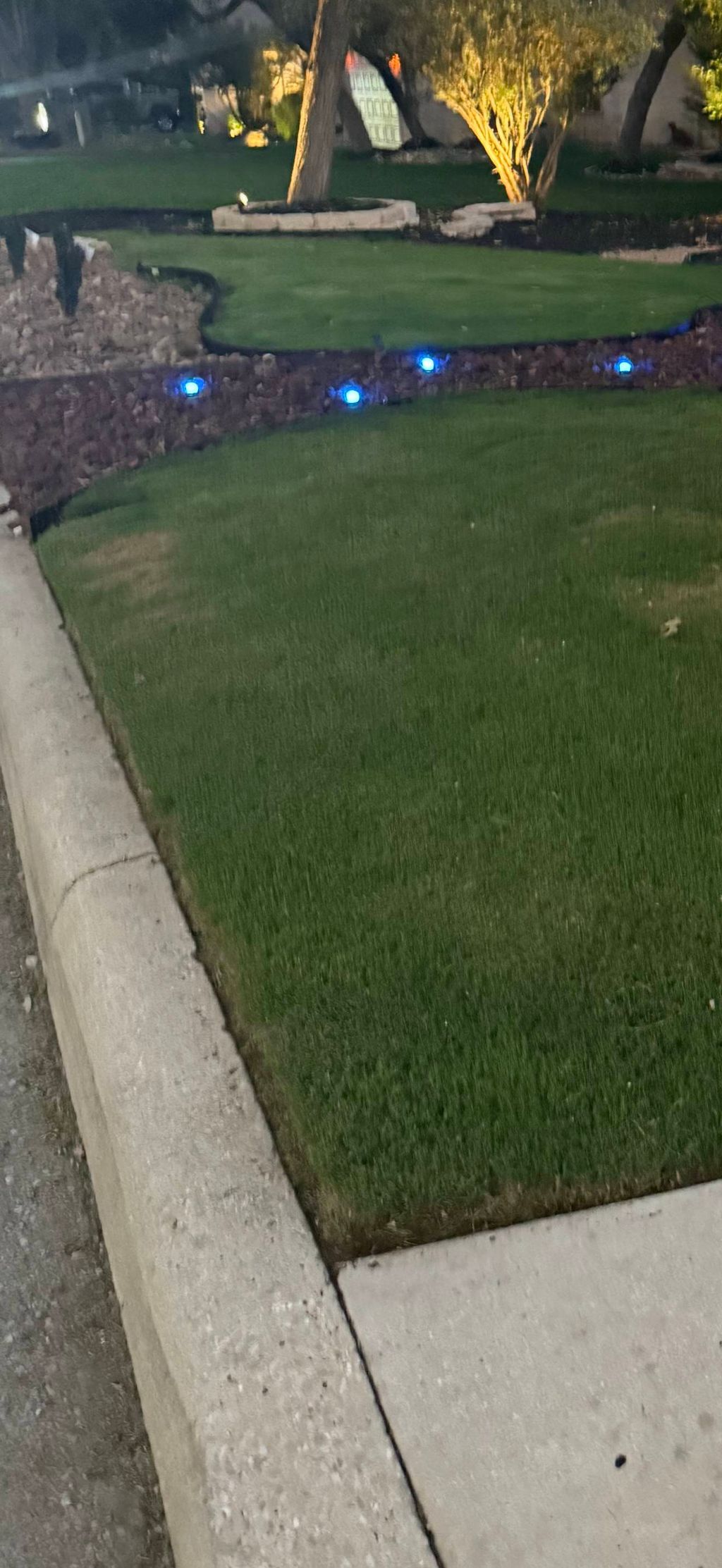 sod turf
