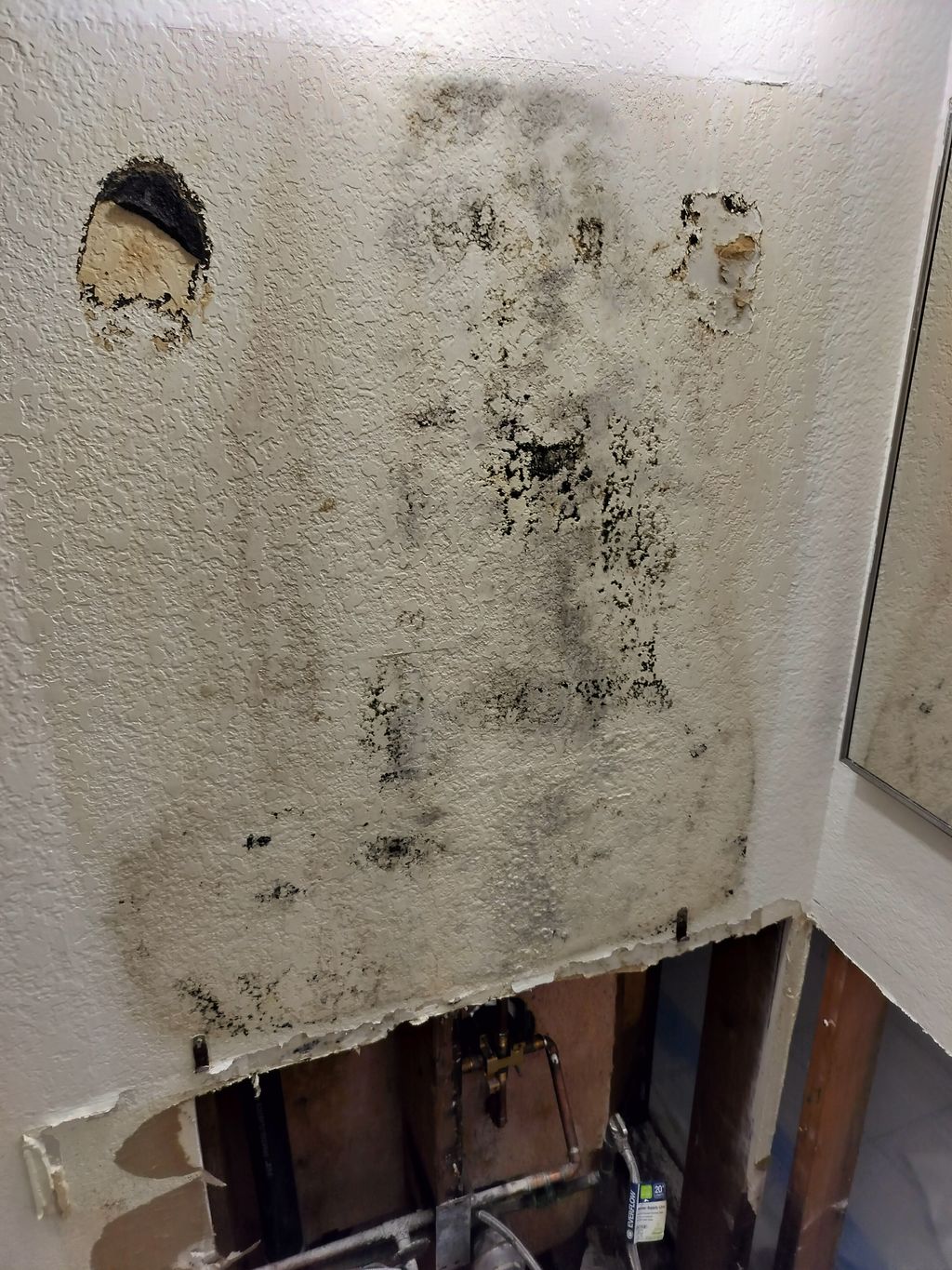 Behind a Bathroom Mirror 😦   #mold