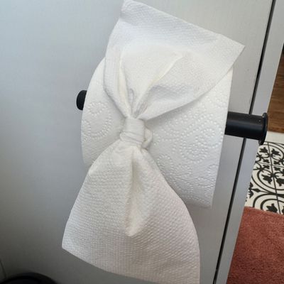 Avatar for Dilu Cleaning *Serious Inquiries Please*