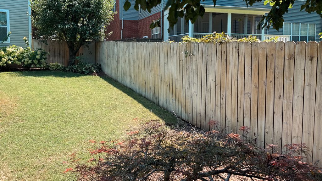After cleaning, before staining