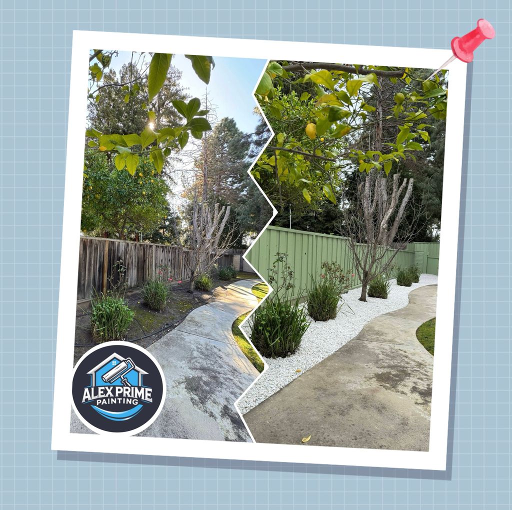 Fence painting 