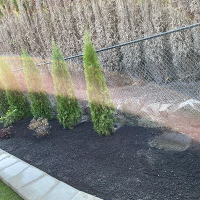 Avatar for The Green Men Landscaping and Construction LLC
