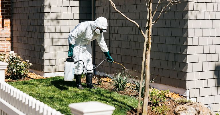 The 10 Best Exterminators in Bronx (with Free Estimates)