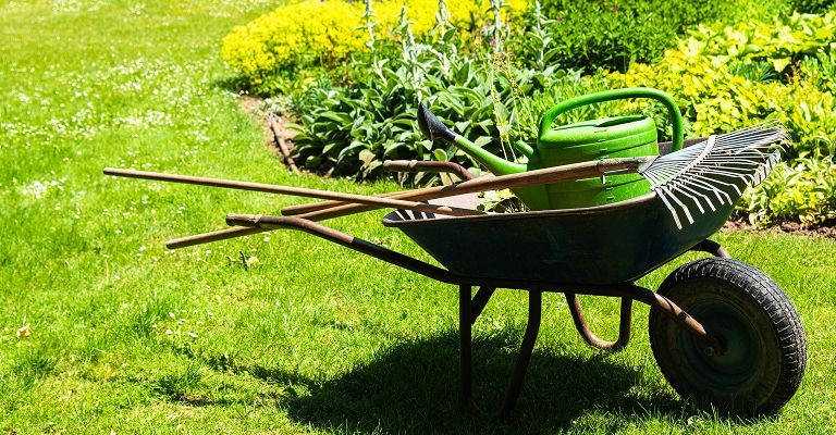 Find a lawn aerator rental in your area