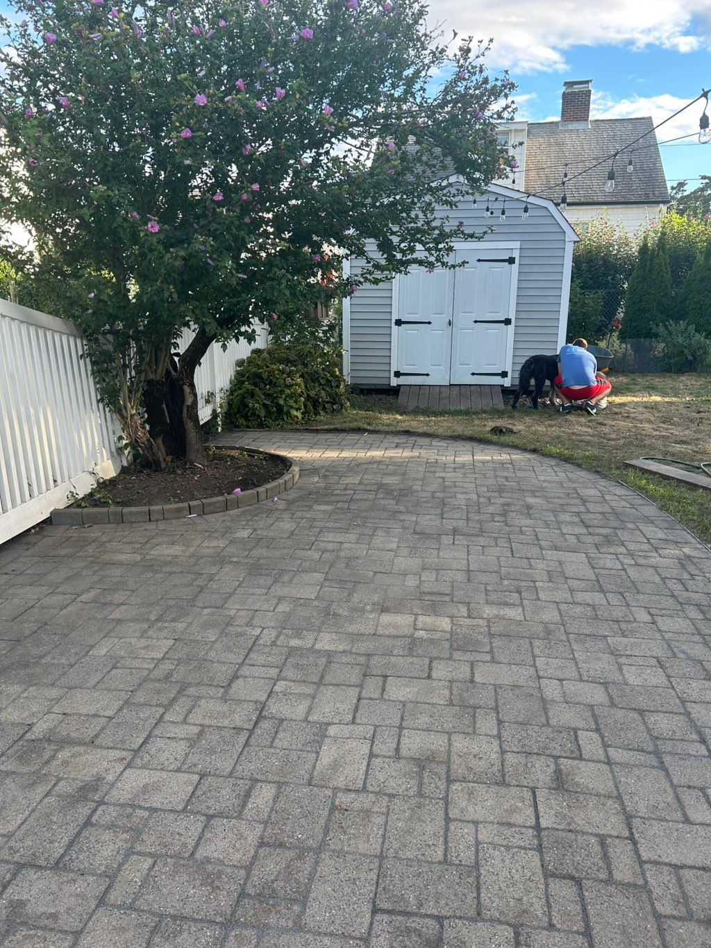 Customer photos