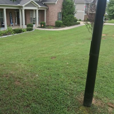 Avatar for jasper lawn care