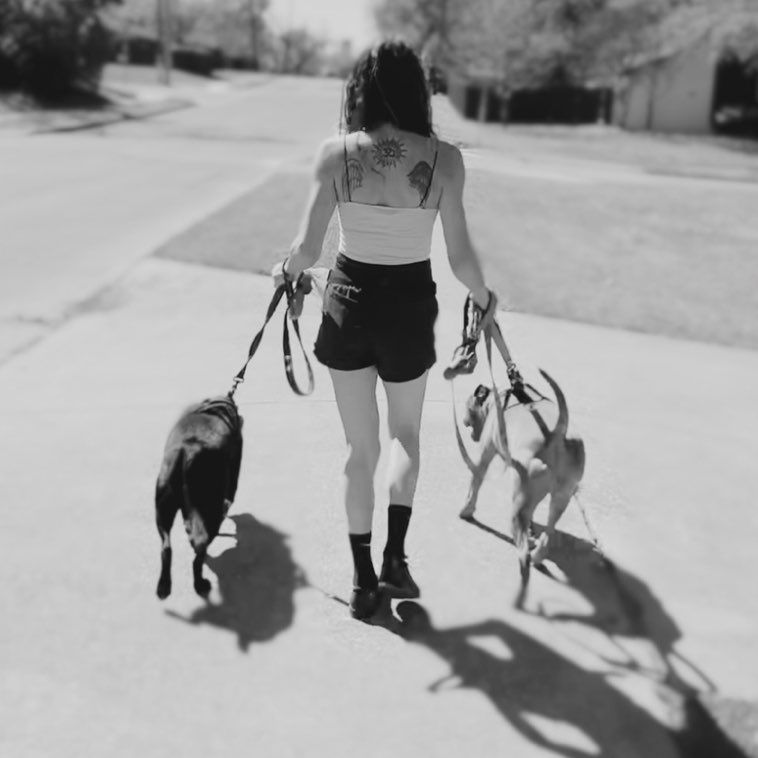 Canine Behavioral Specialist & Animal Reiki Master