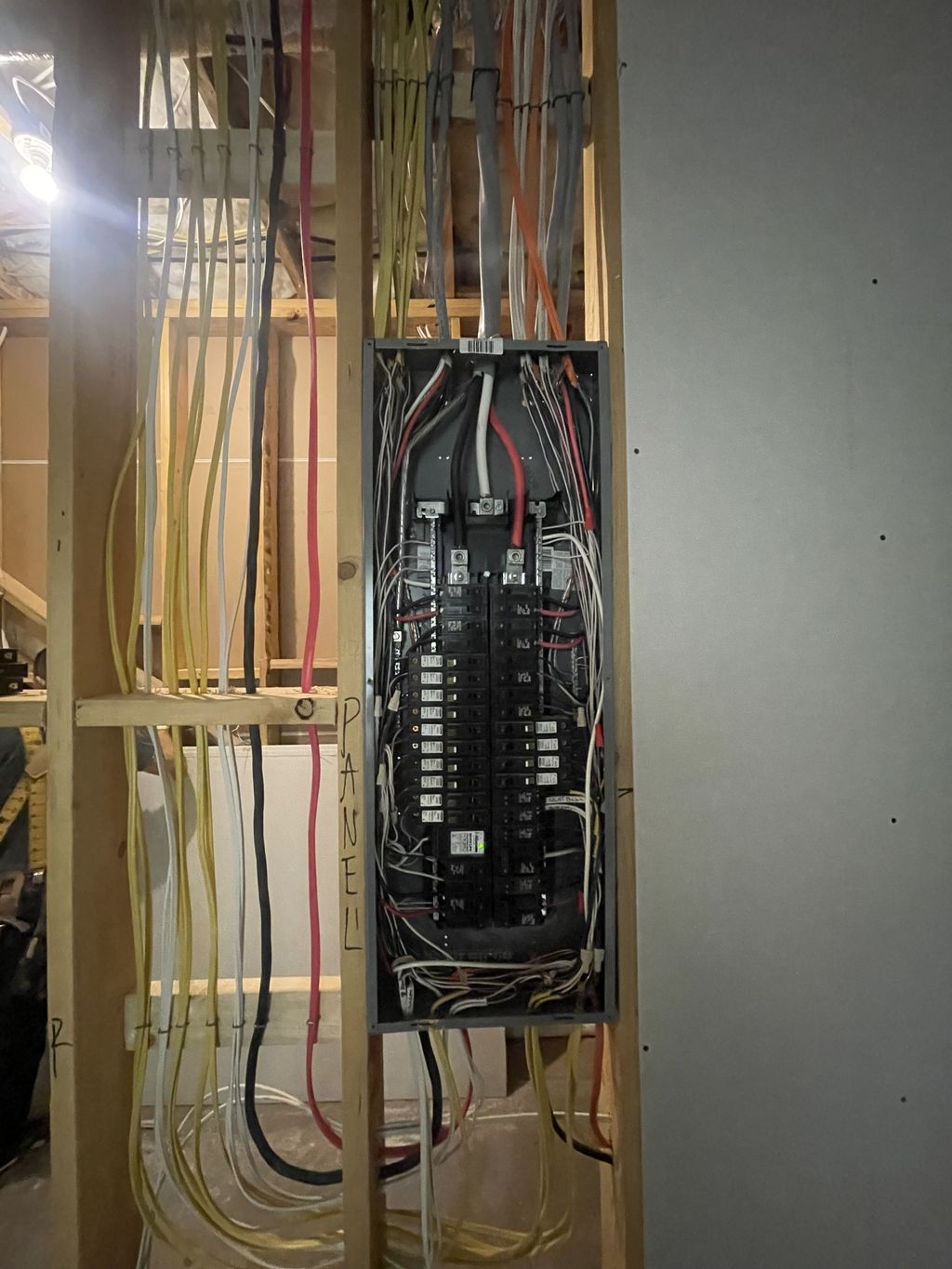 Projects and media