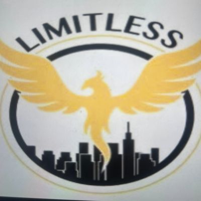 Avatar for Limitless corp