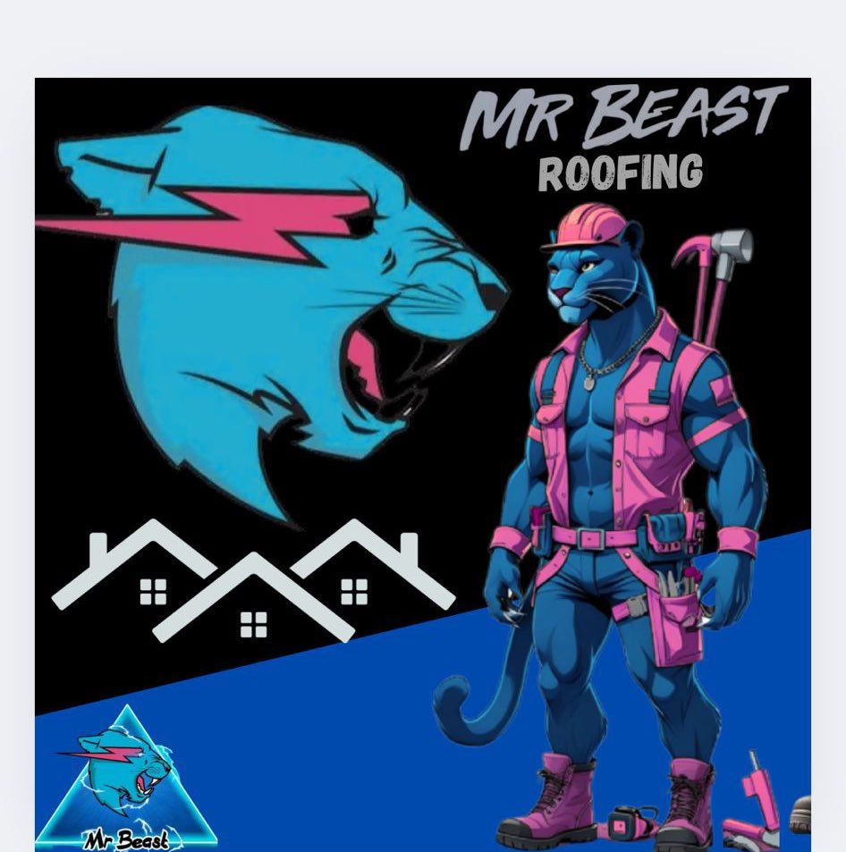 Mr Beast Roofing LLC