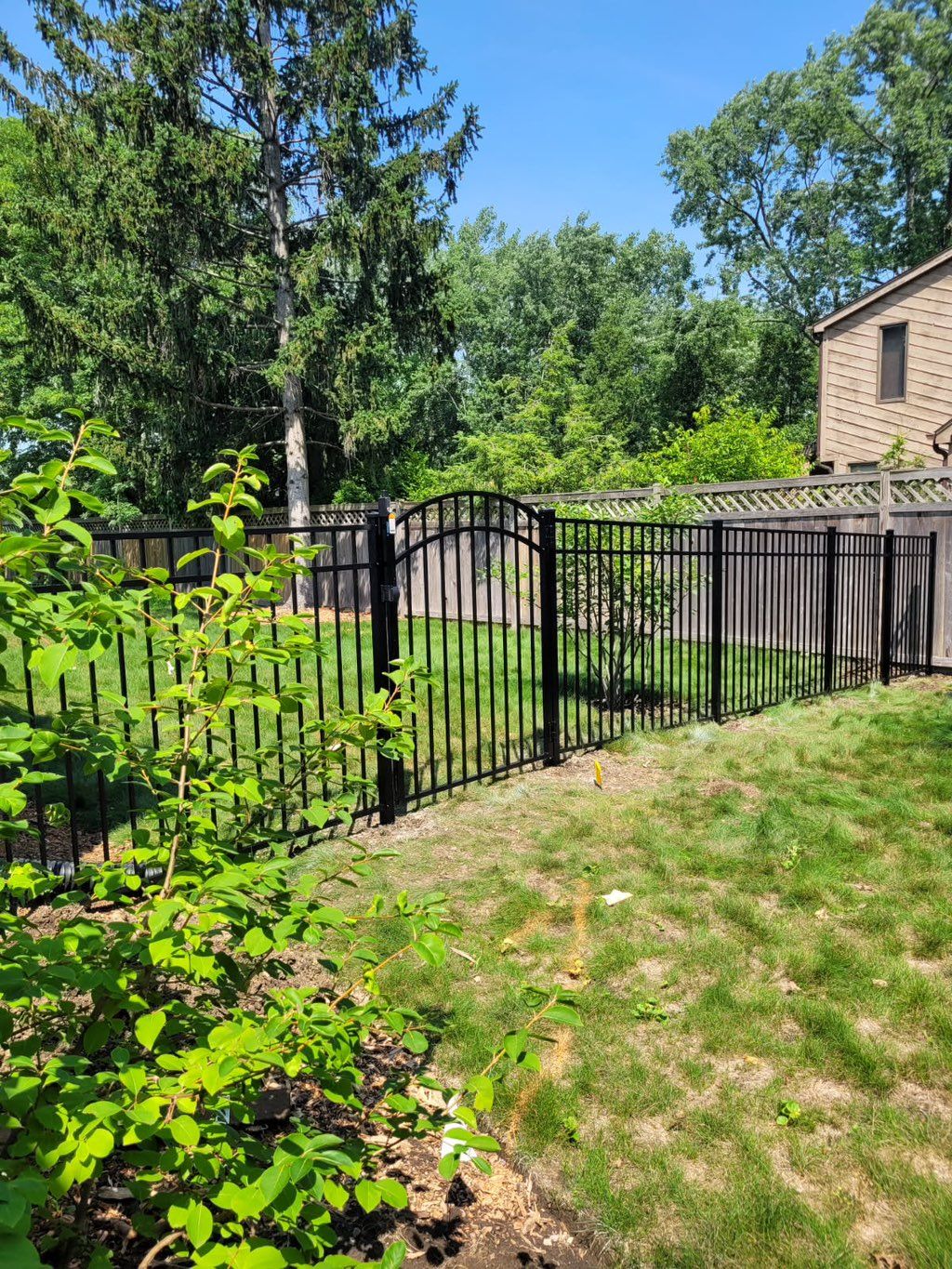 5' tall black aluminum fence with arched gate back