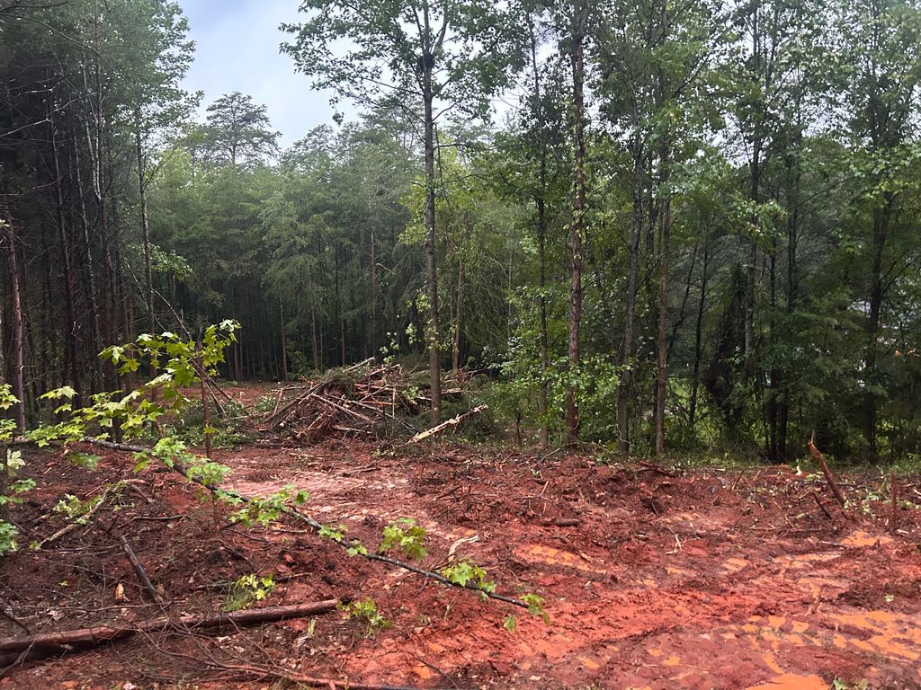 Clearing Job in Anderson