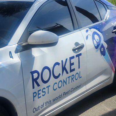 Avatar for ROCKET PEST CONTROL