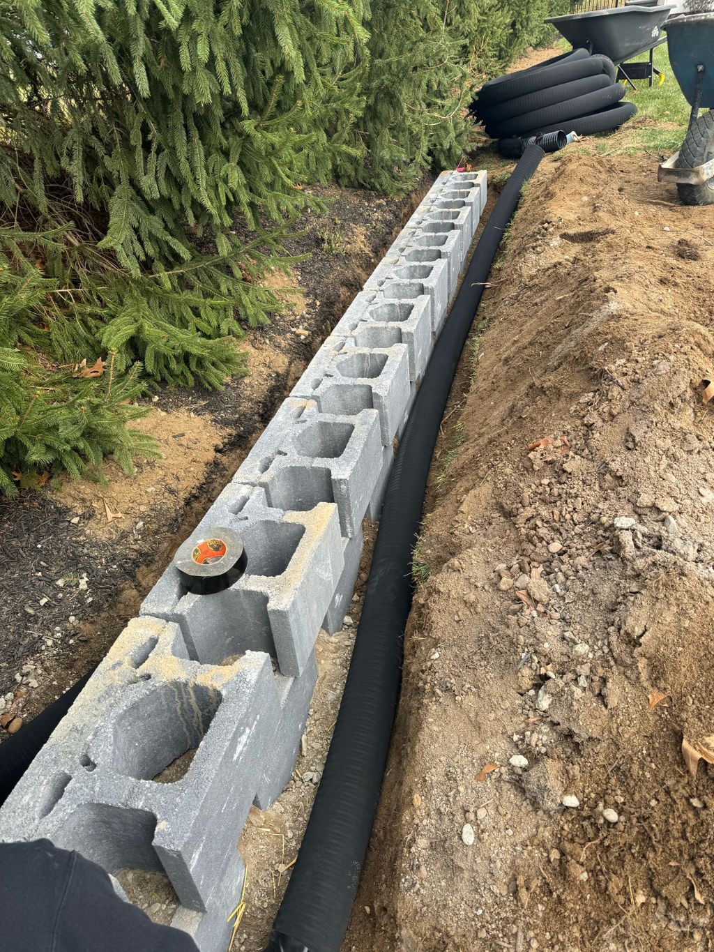 Projects and media