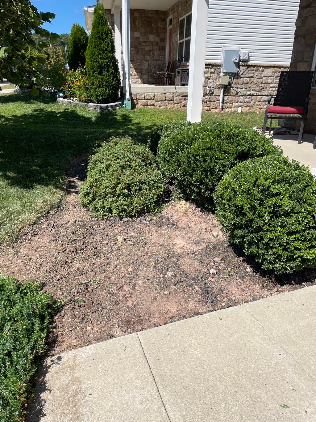 Customer photos