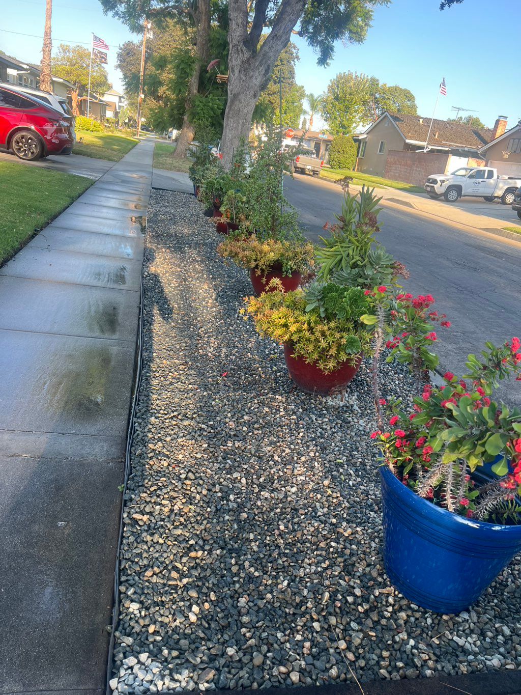 Customer photos