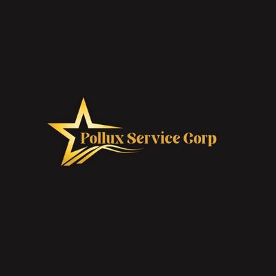 Avatar for Pollux Service Corp