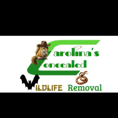 Avatar for Carolina’s concealed wildlife removal